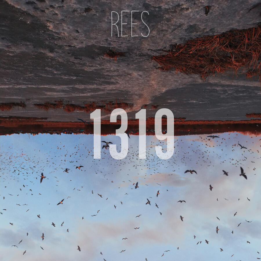 Релиз 1319