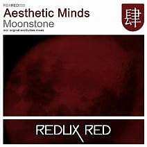 Aesthetic Minds