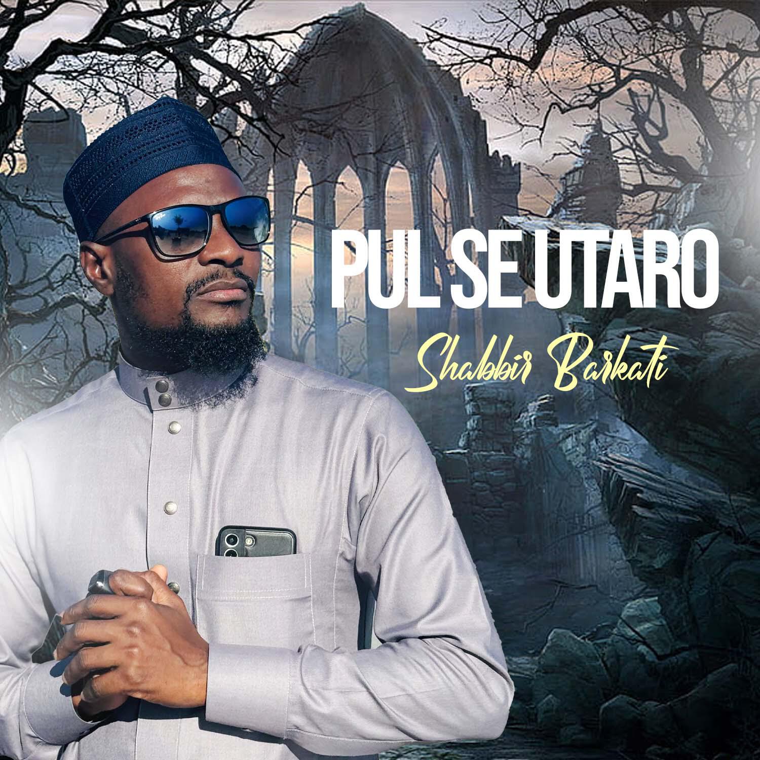 Релиз Pul Se Utaro