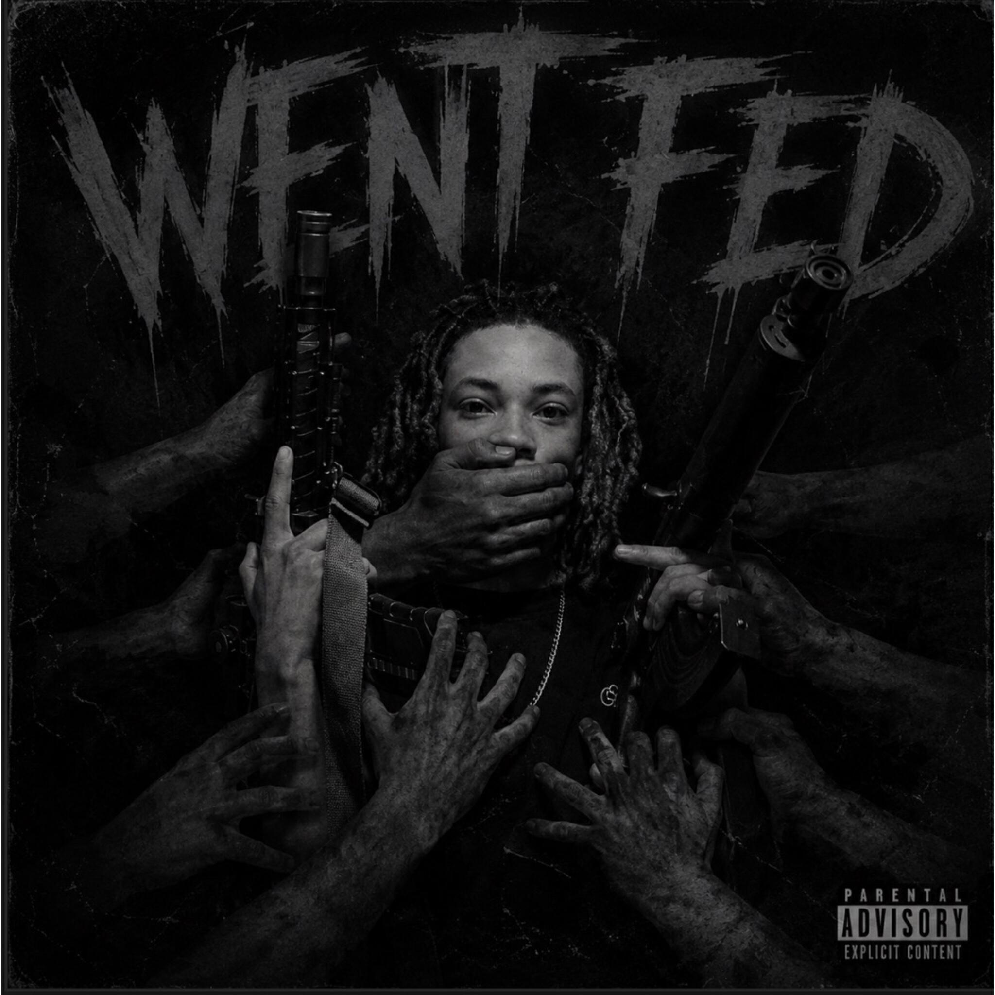 Релиз WENT FED