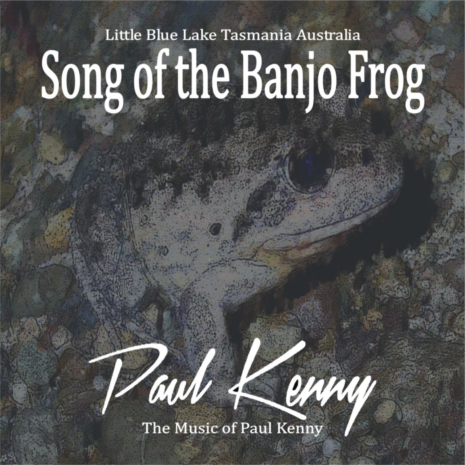 Релиз Song of the Banjo Frog