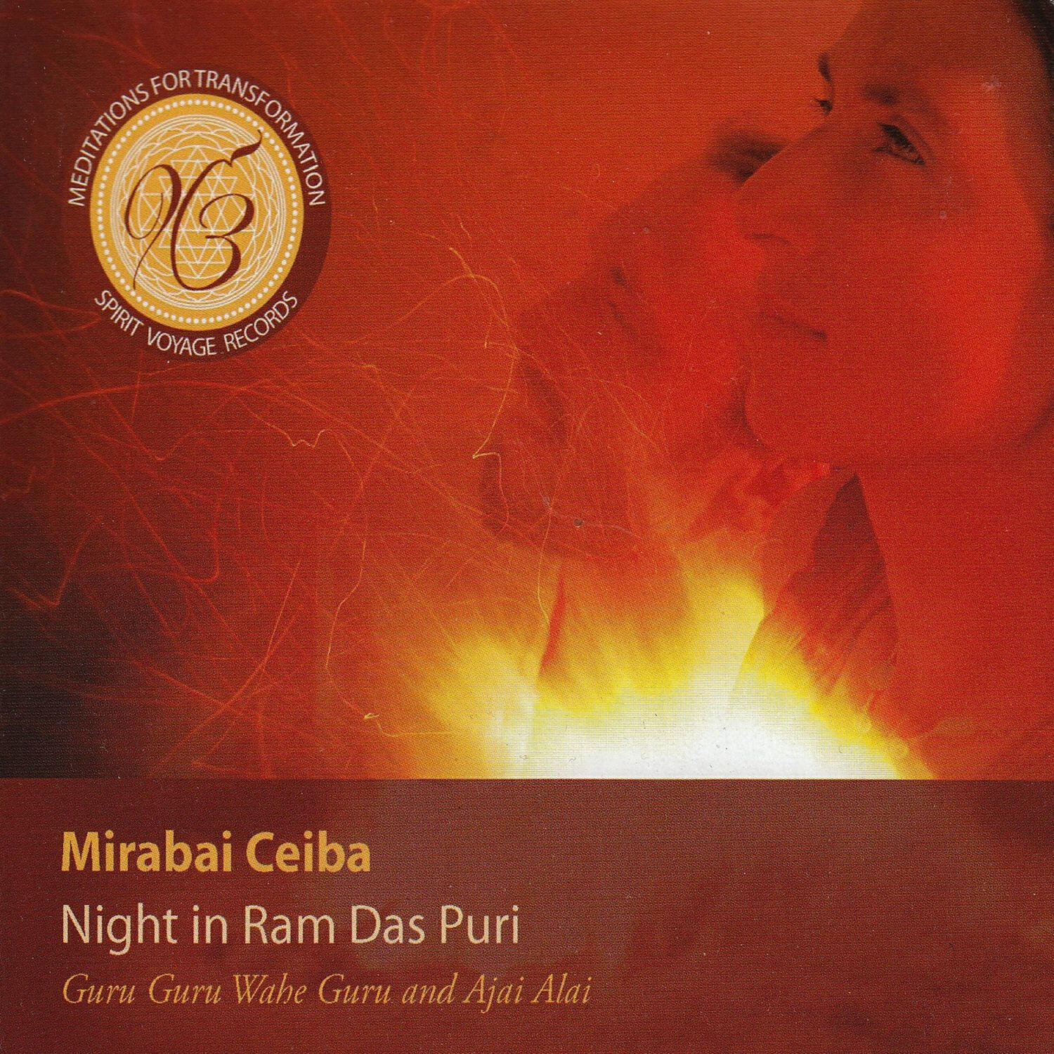 Релиз Night in Ram Das Puri