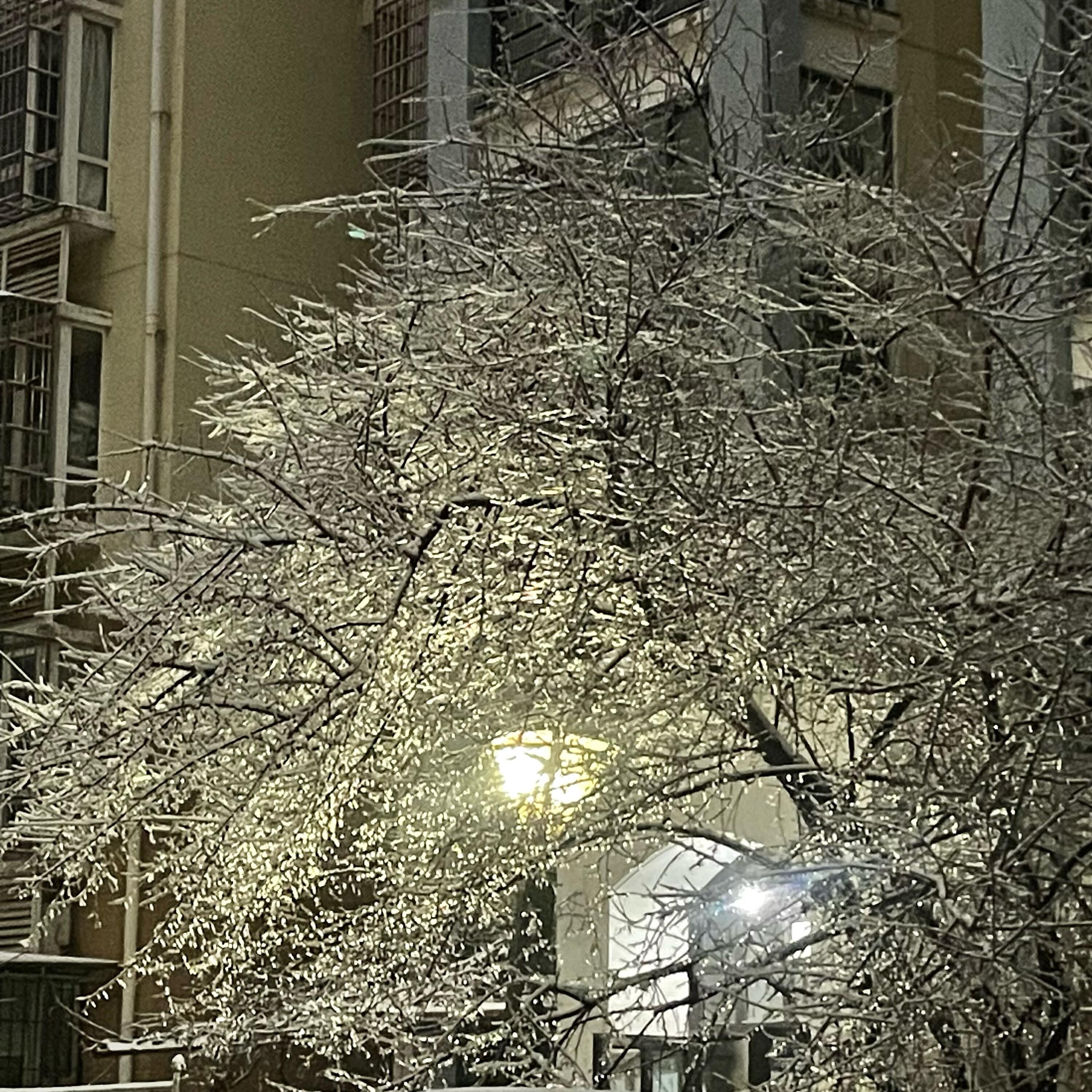 Релиз 我只能够抬起头，布满乌云的时候