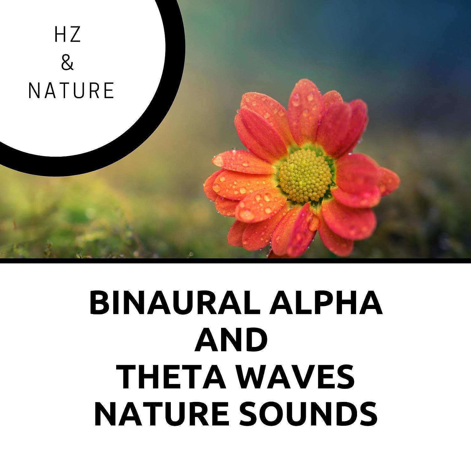 Релиз Binaural Alpha and Theta Waves, Nature Sounds