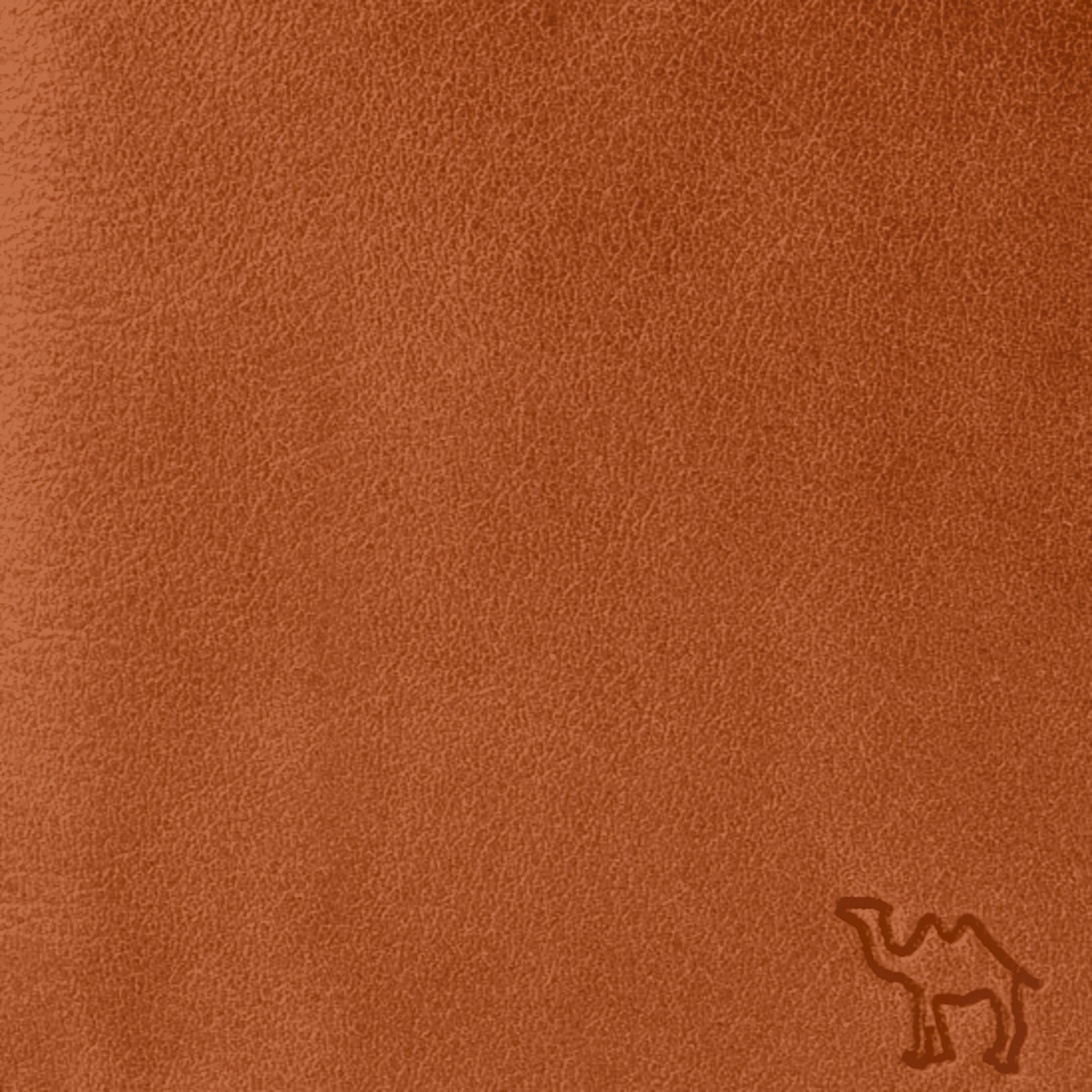 Релиз Camel