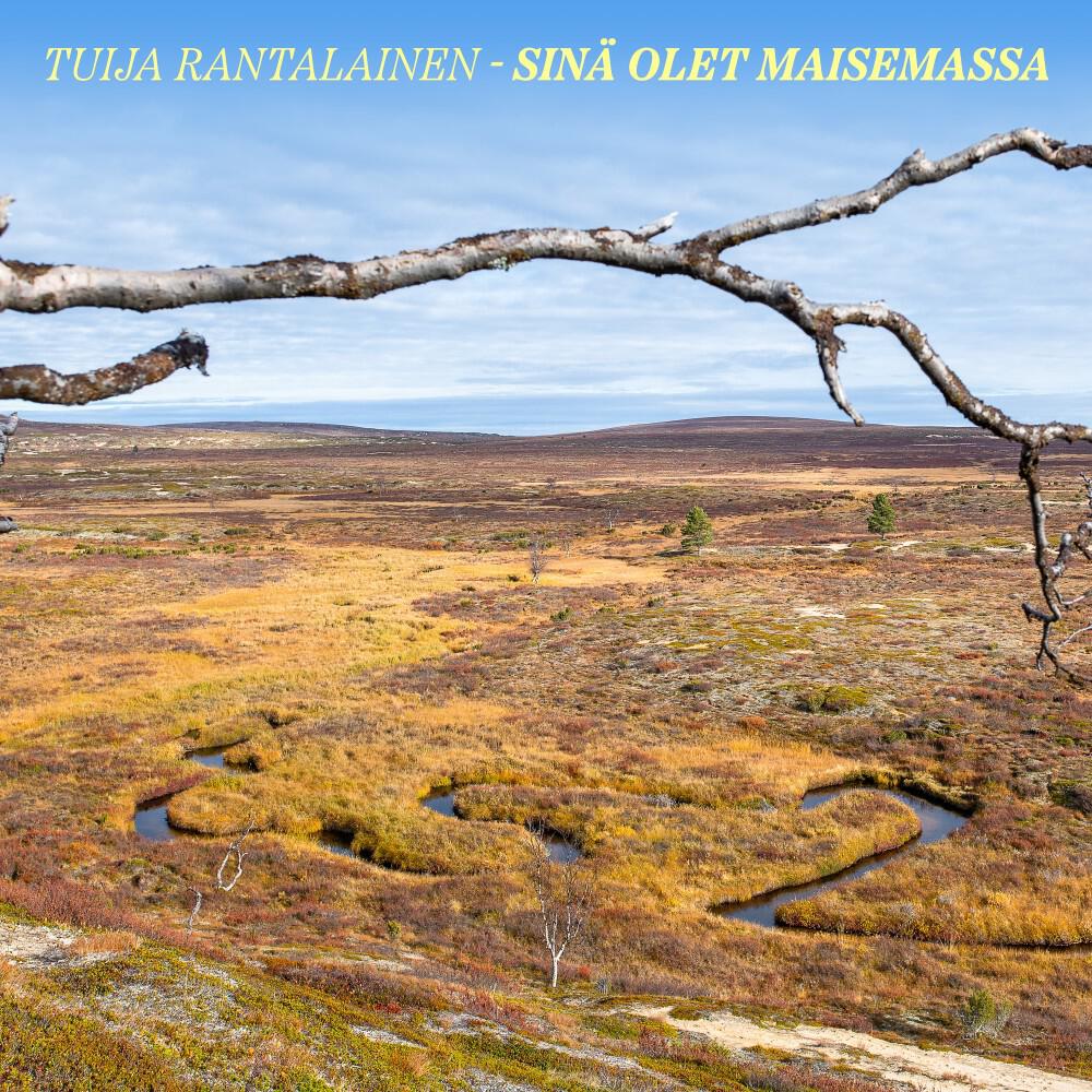 Релиз Sinä olet maisemassa