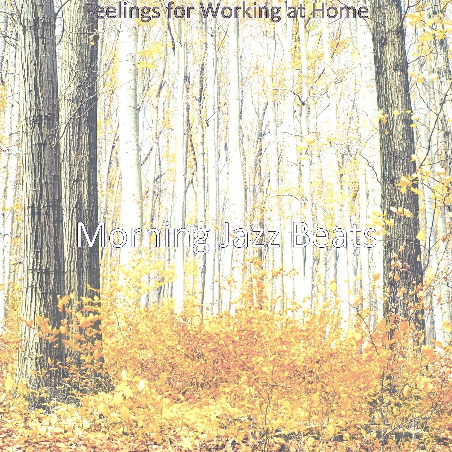 Релиз Feelings for Working at Home