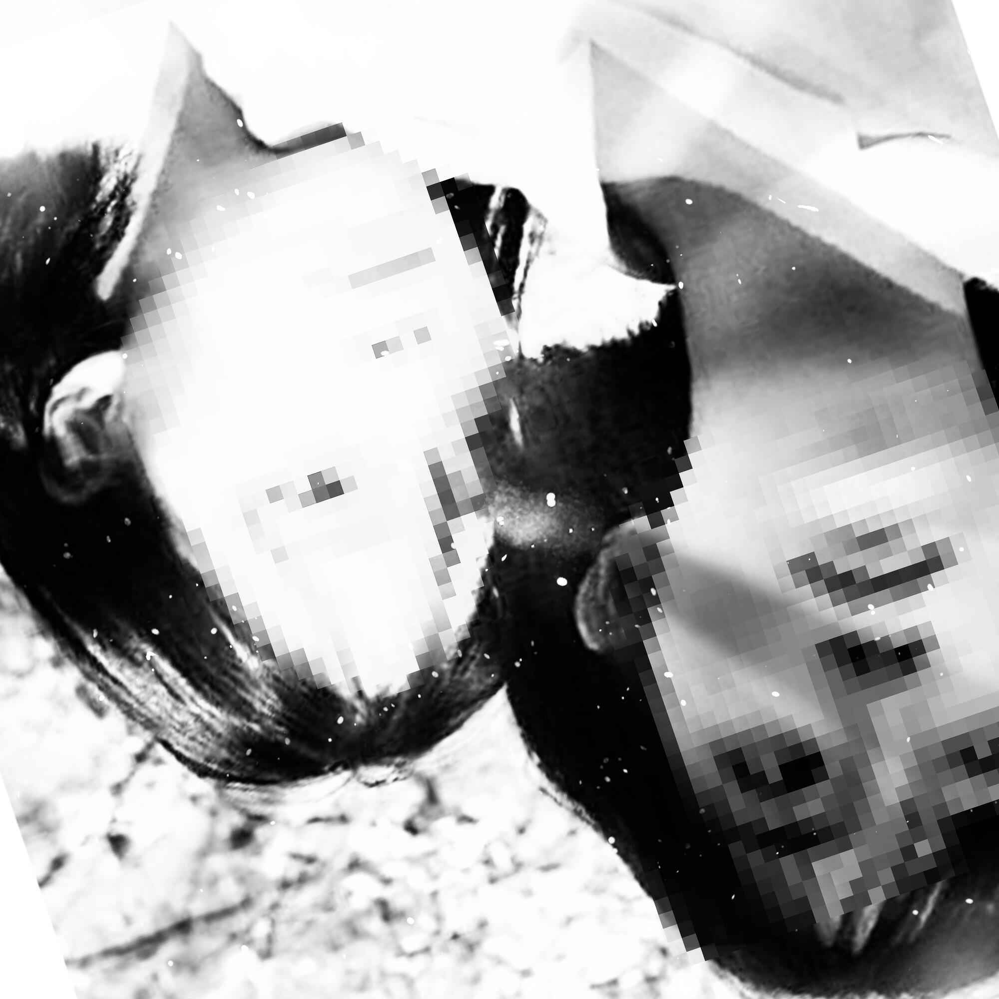 японская девочка