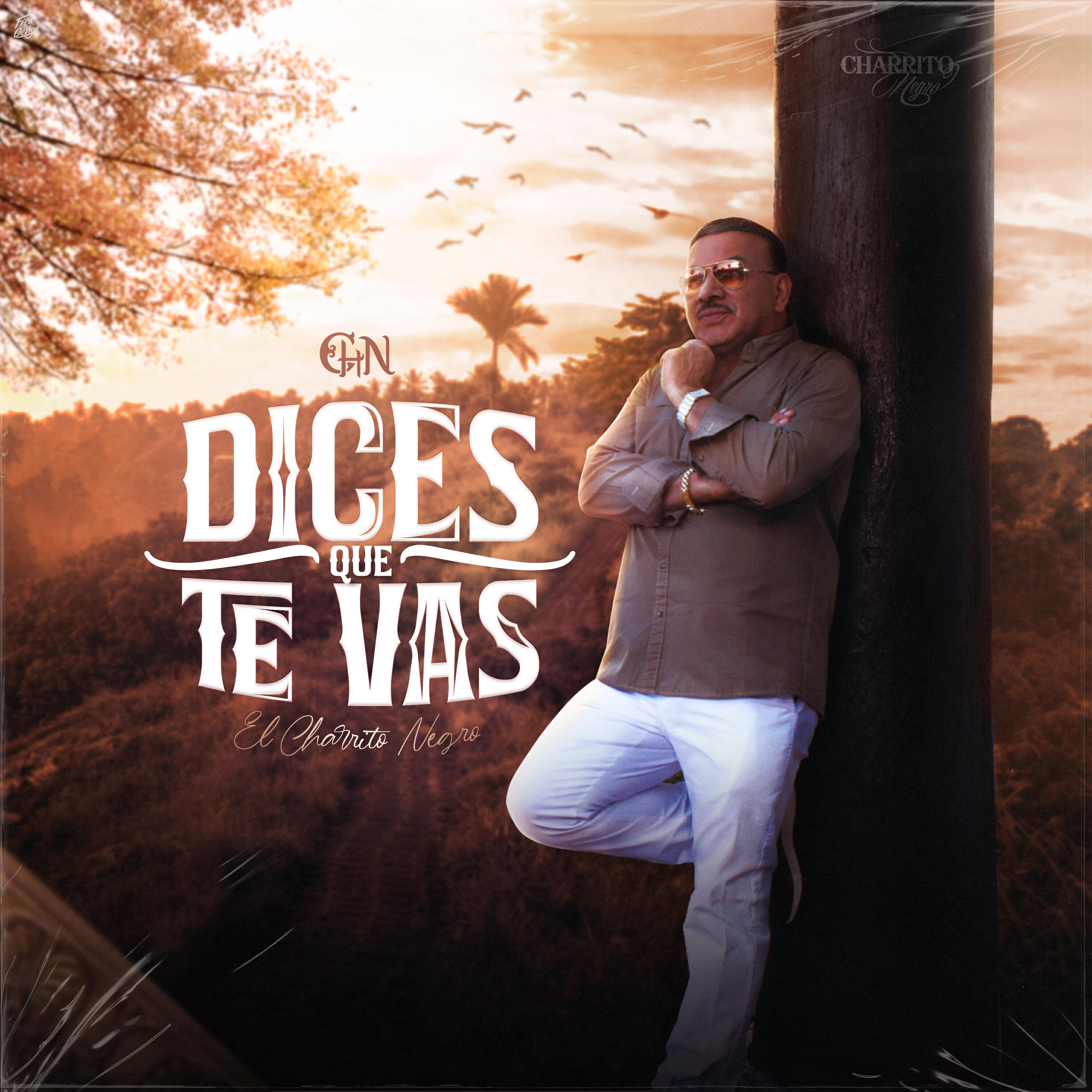 Релиз Dices Que Te Vas