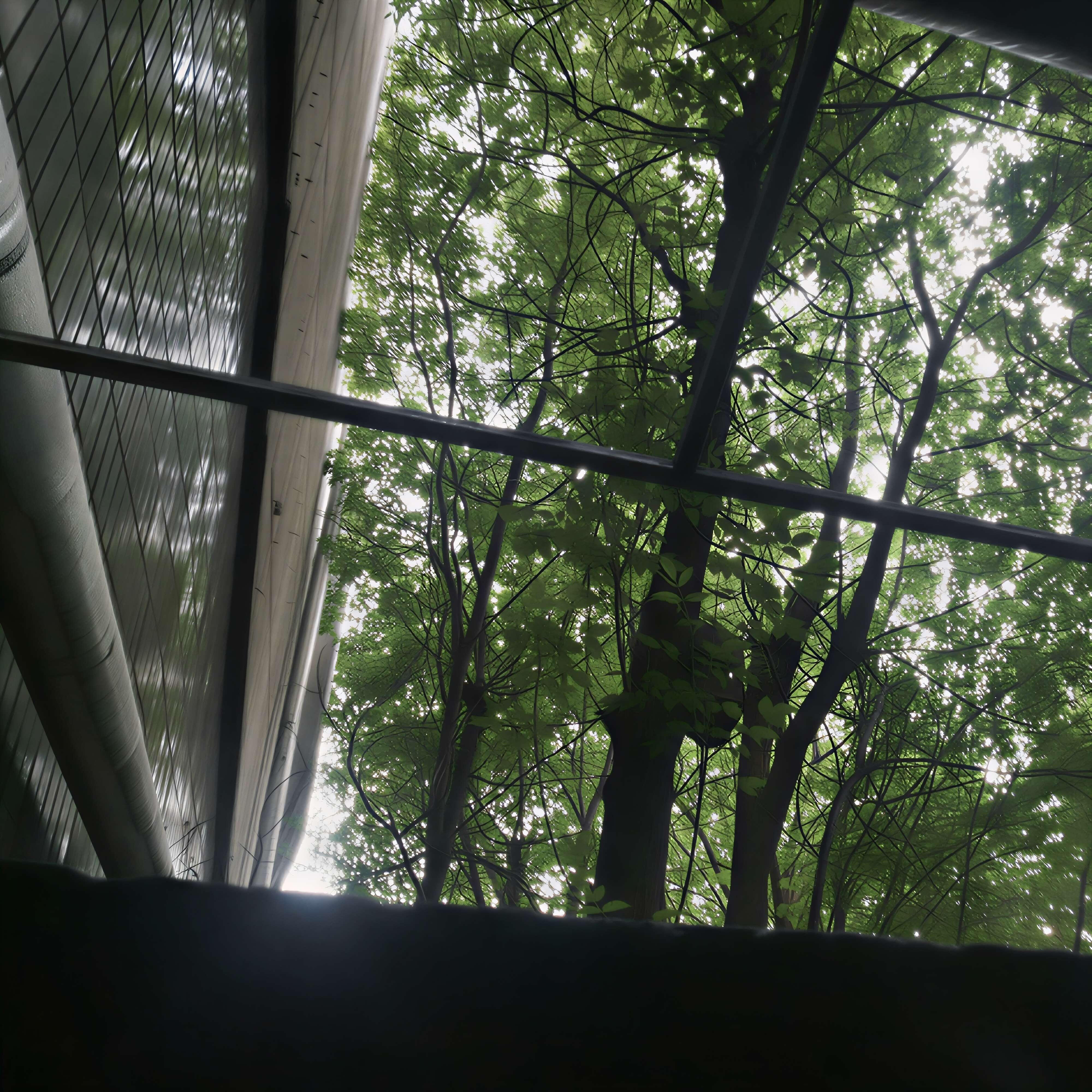 Релиз Twisted Ambient