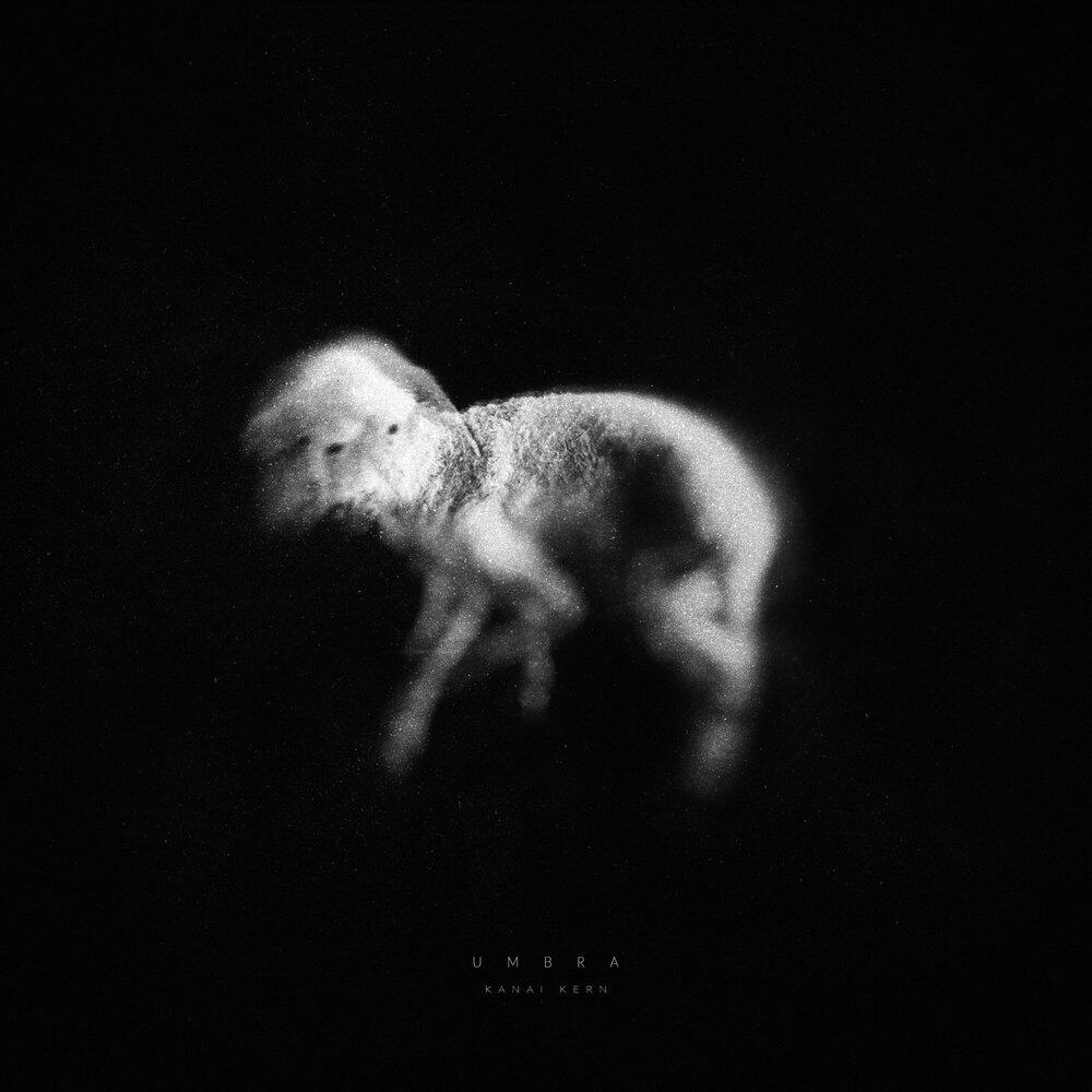 Релиз Umbra