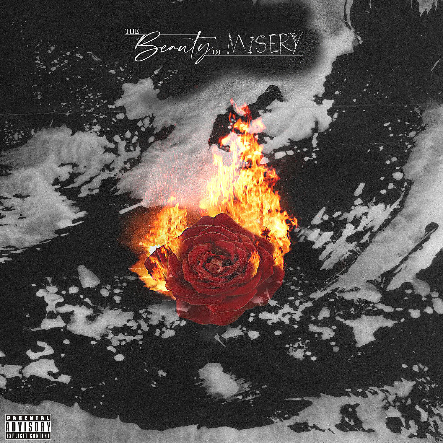 Релиз The Beauty of Misery