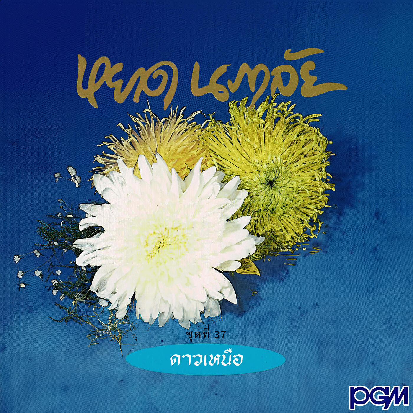 Релиз ชุดที่ 37 ดาวเหนือ