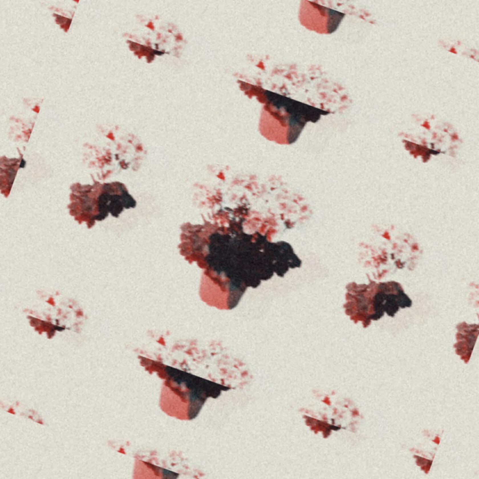 Релиз Ночной букет