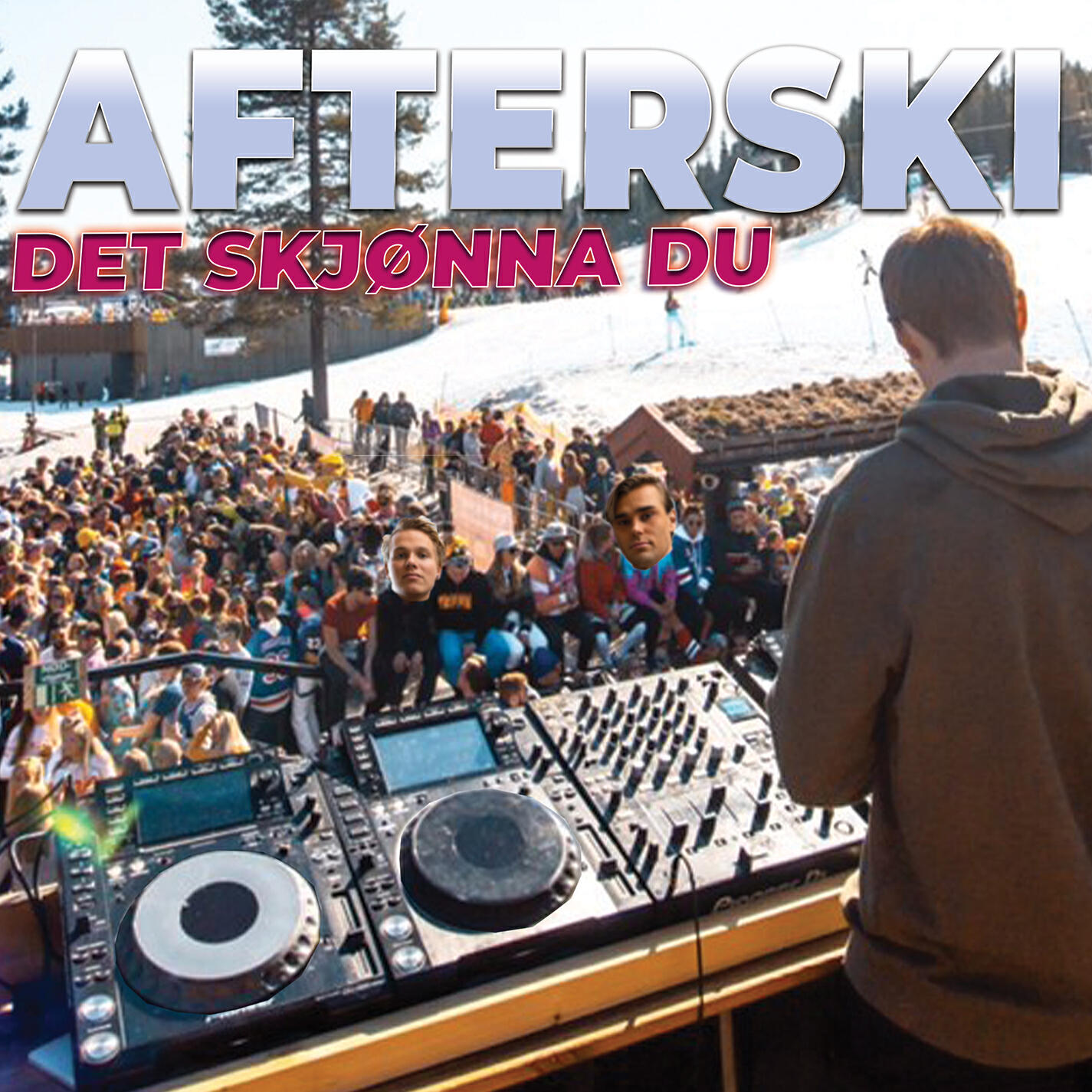Det skjønna du