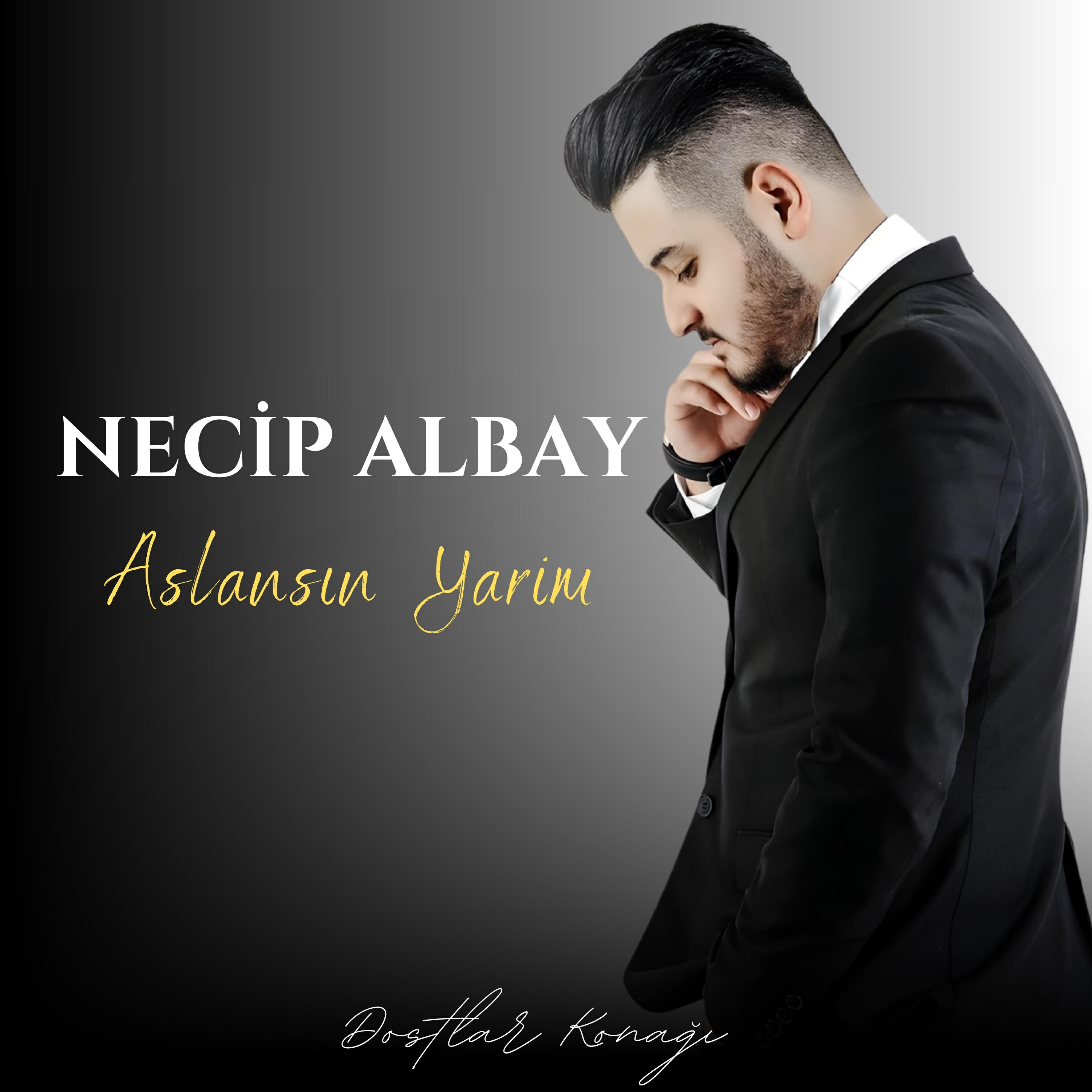 Релиз Aslansın Yarim