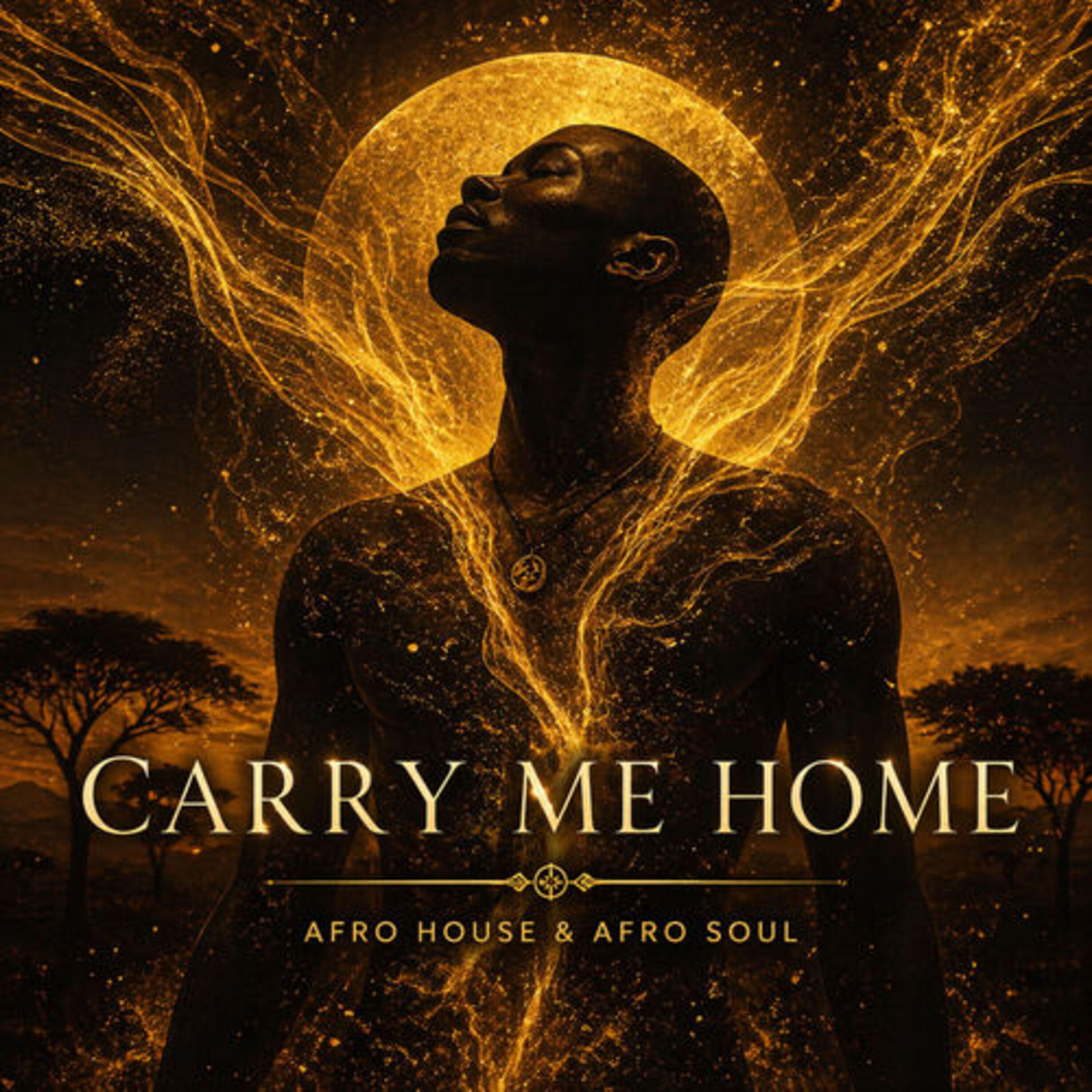 Релиз Carry Me Home