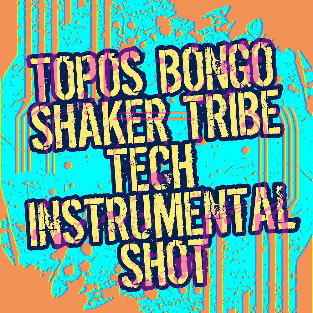 Постер альбома Shaker Tribe (Tech Instrumental Shot)