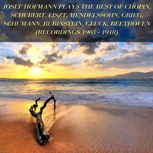 Релиз Josef Hofmann Plays the Best of Chopin, Schubert, Liszt, Mendelssohn, Grieg, Schumann, Rubinstein, Gluck, Beethoven