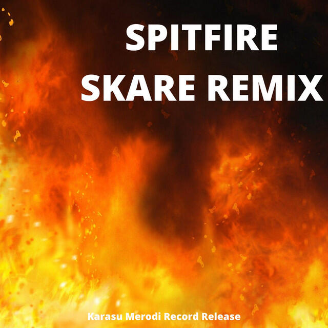 Релиз Spitfire Skare (Remix)