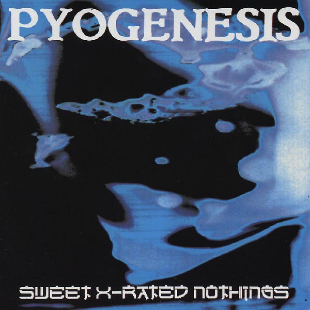 Релиз Sweet X-Rated Nothings