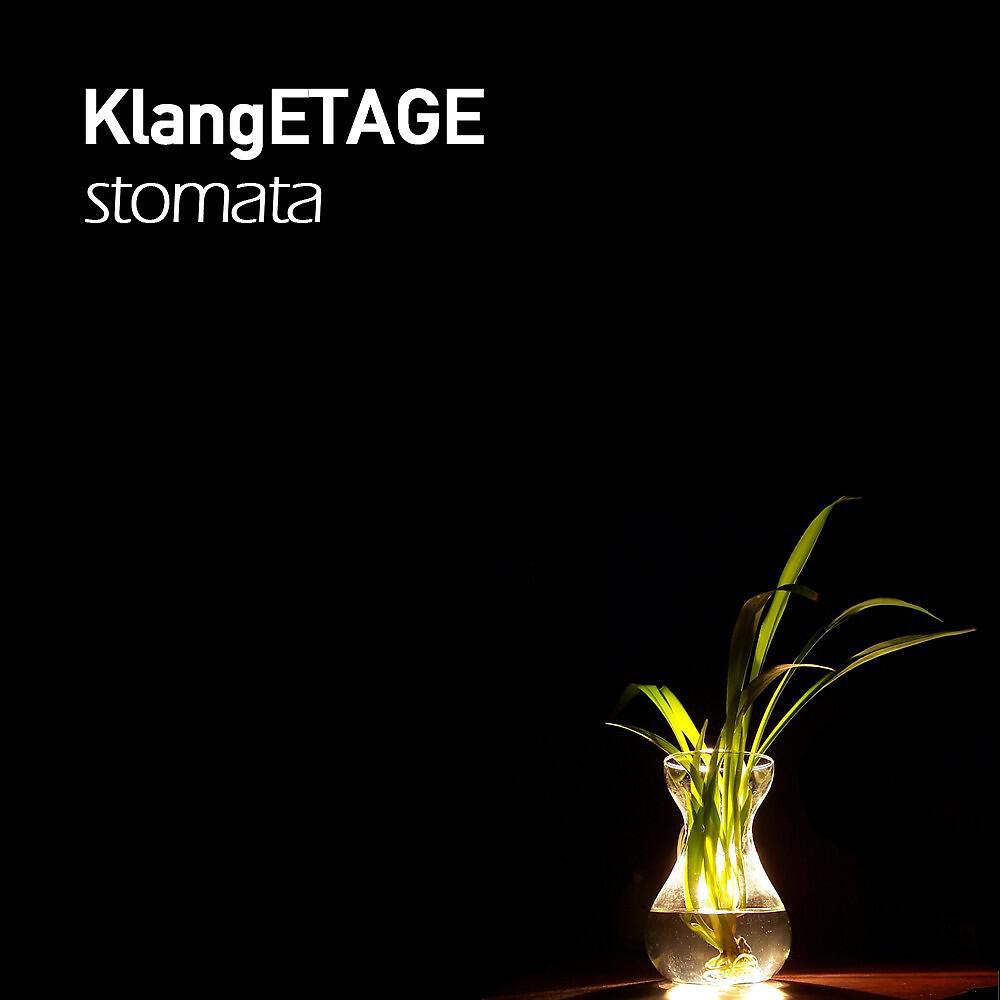 Релиз Stomata