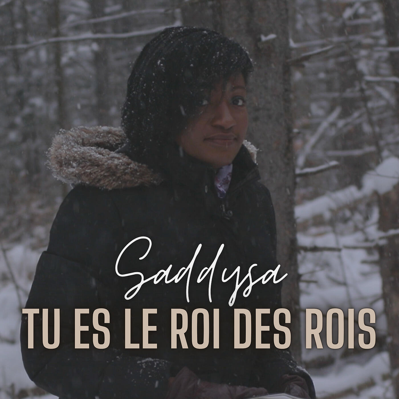 Saddysa