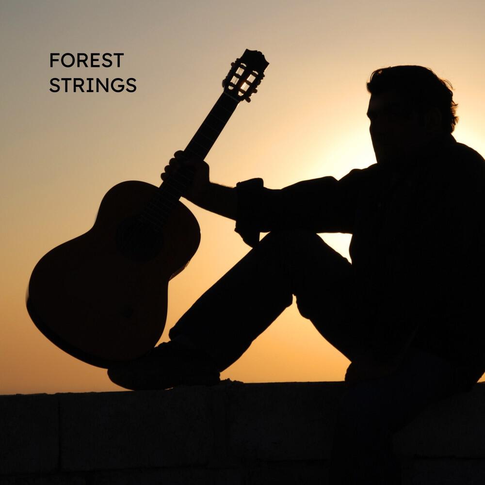 Релиз Forest Strings