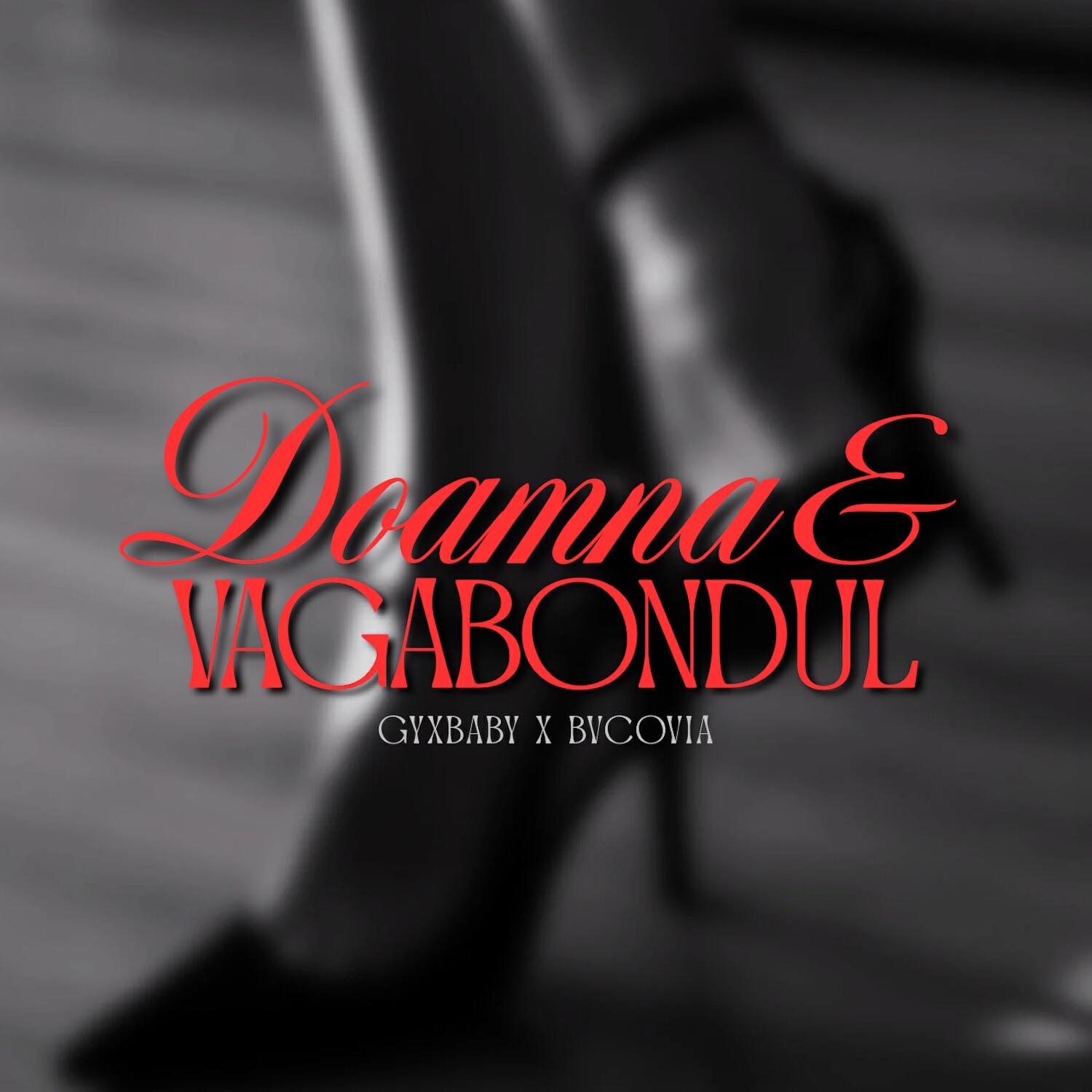 Релиз Doamna si Vagabondul