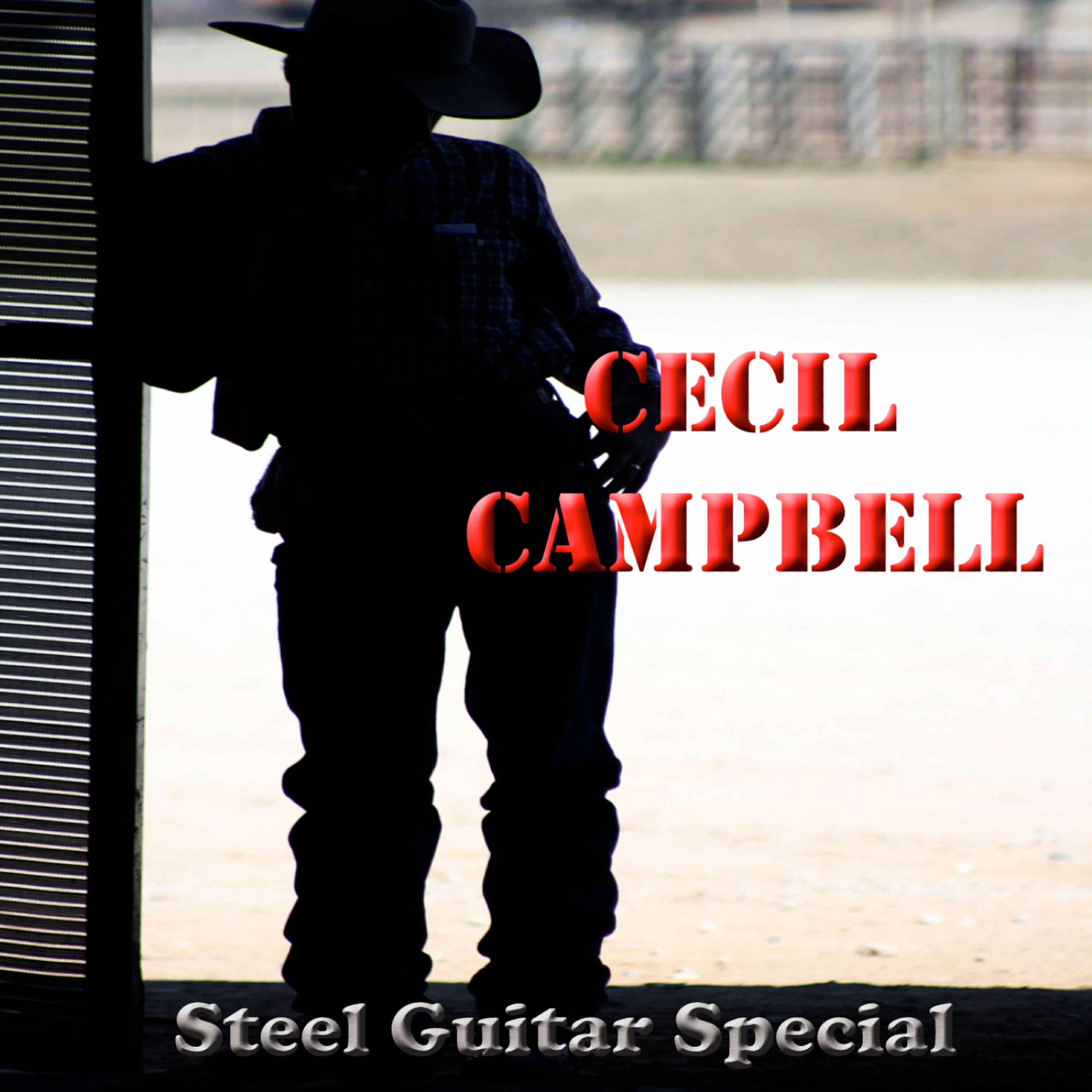 Релиз Steel Guitar Special