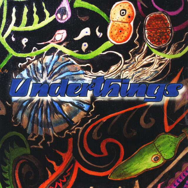 Underthings