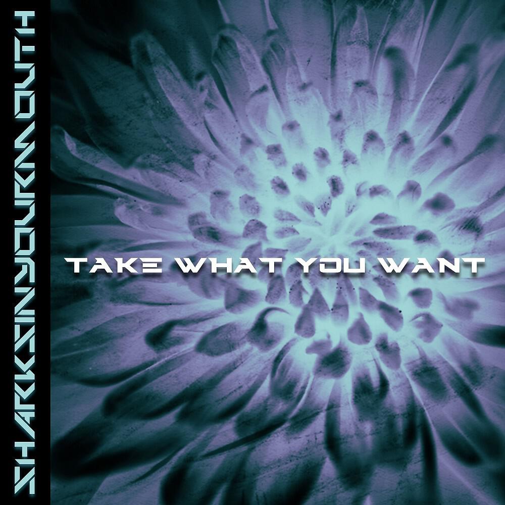 Релиз Take What You Want