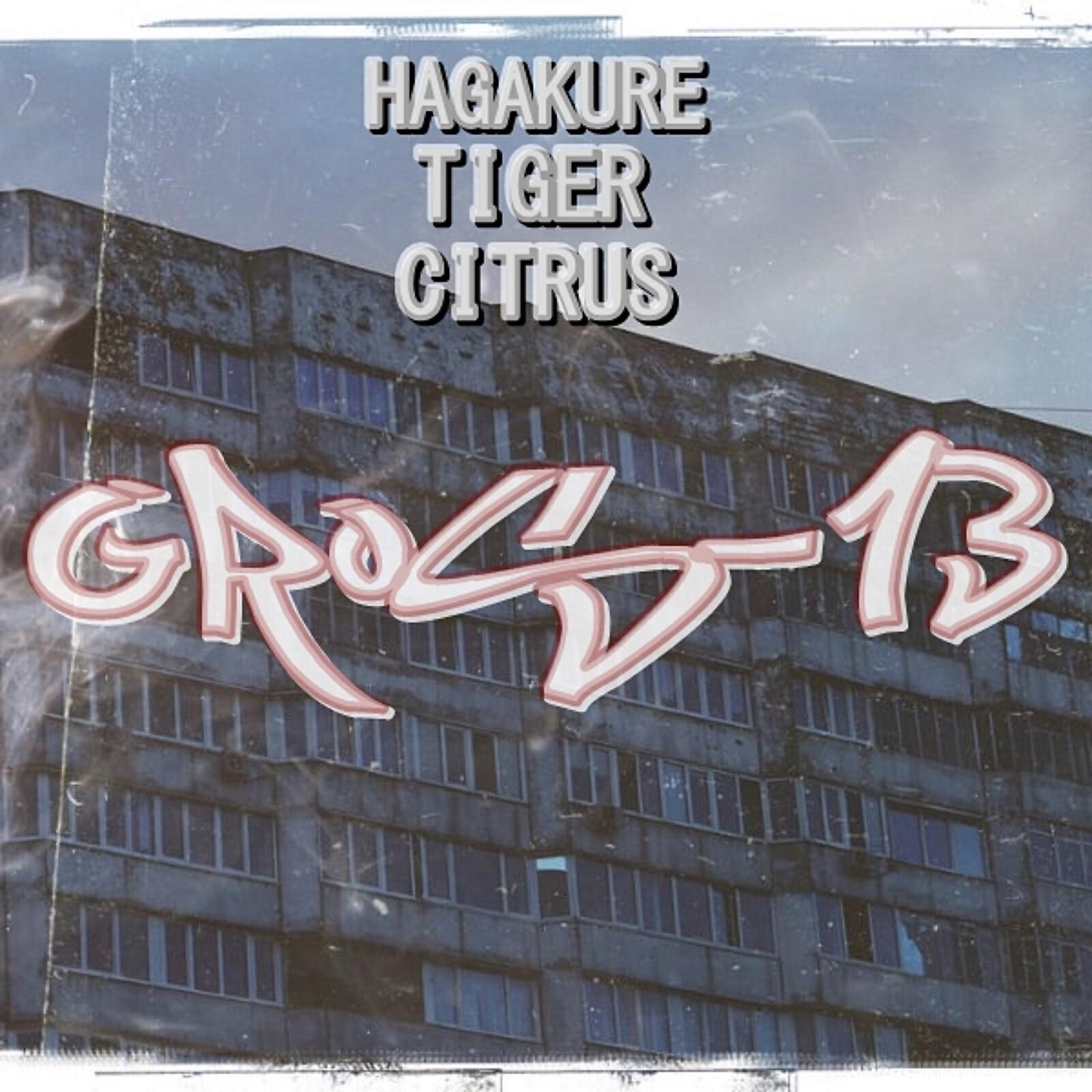 Релиз GROS-13