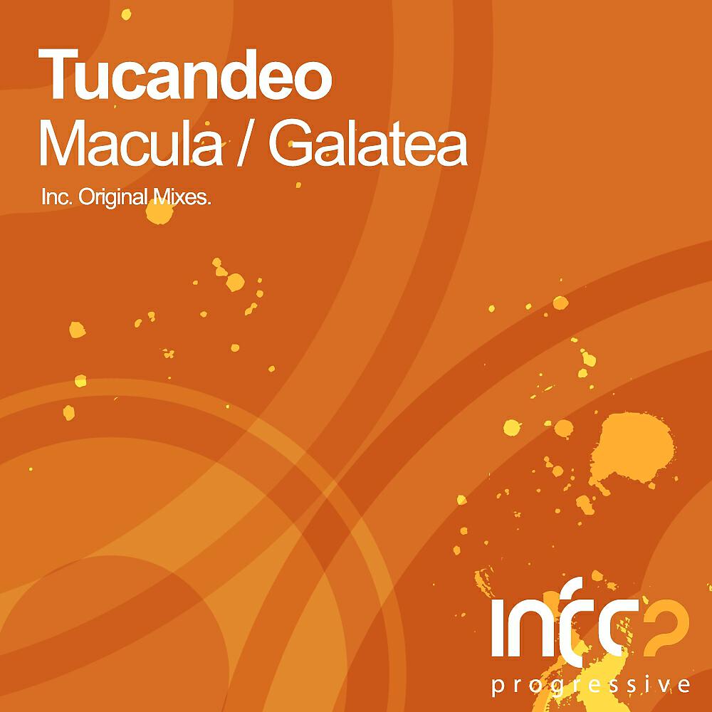 Релиз Macula E.P