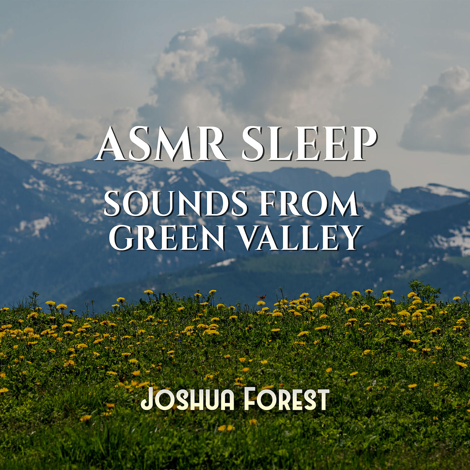 Релиз ASMR Sleep: Sounds from Green Valley, Soothing Woodland Wind