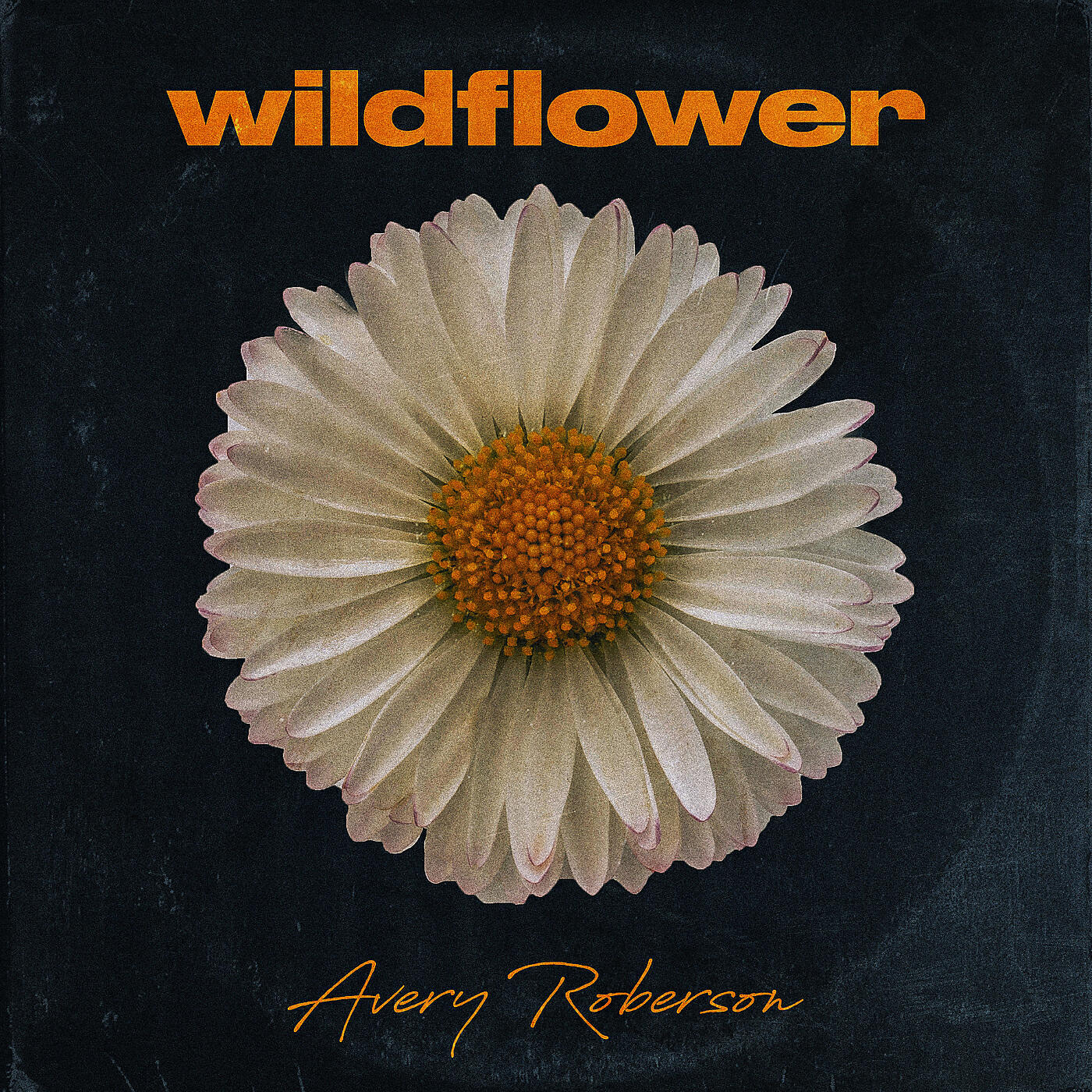 Релиз Wildflower