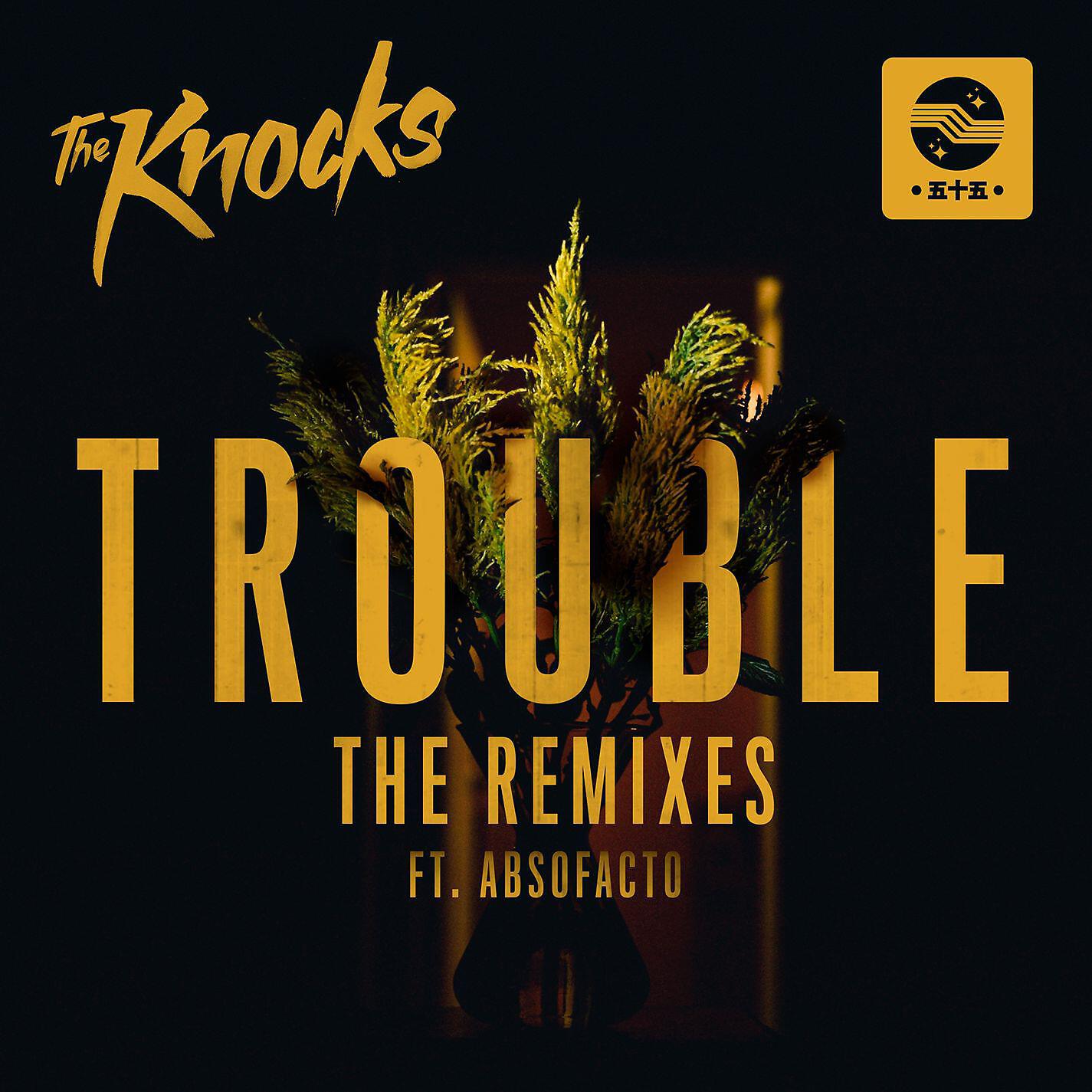 Релиз TROUBLE (feat. Absofacto) [Remixes]
