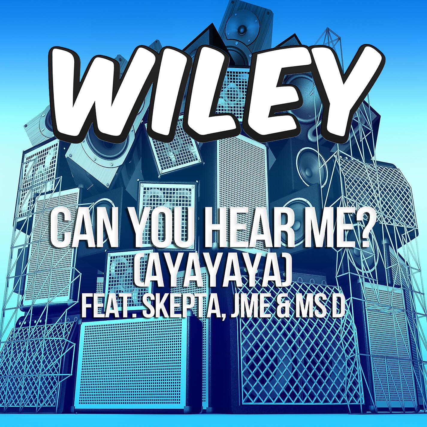 Релиз Can You Hear Me? (ayayaya) [feat. Skepta, JME & Ms D]