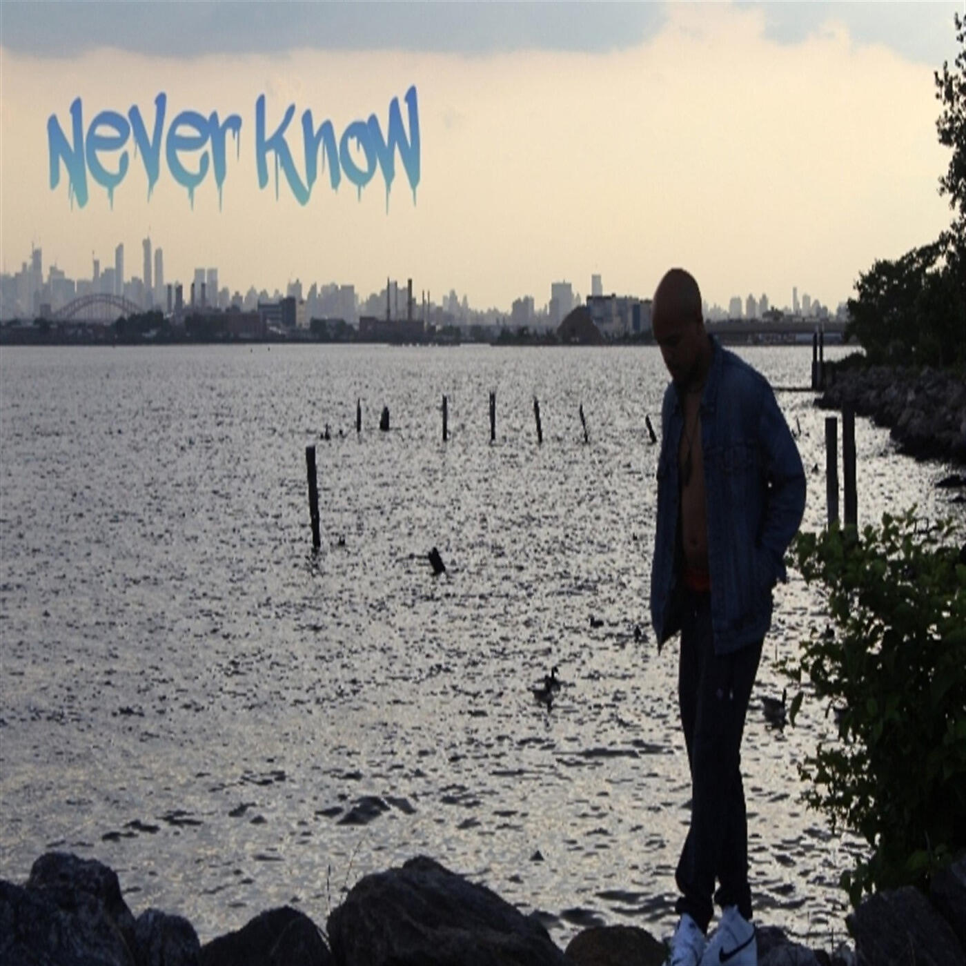 Релиз Never Know