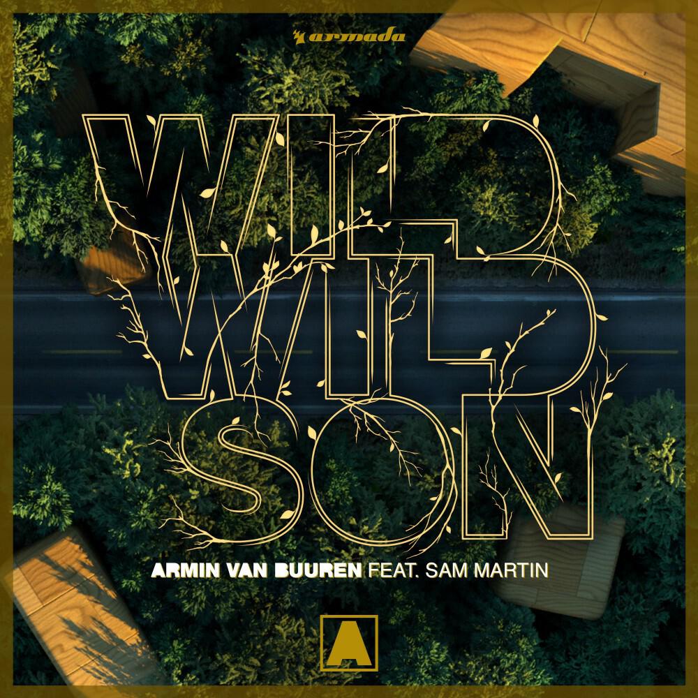 Релиз Wild Wild Son