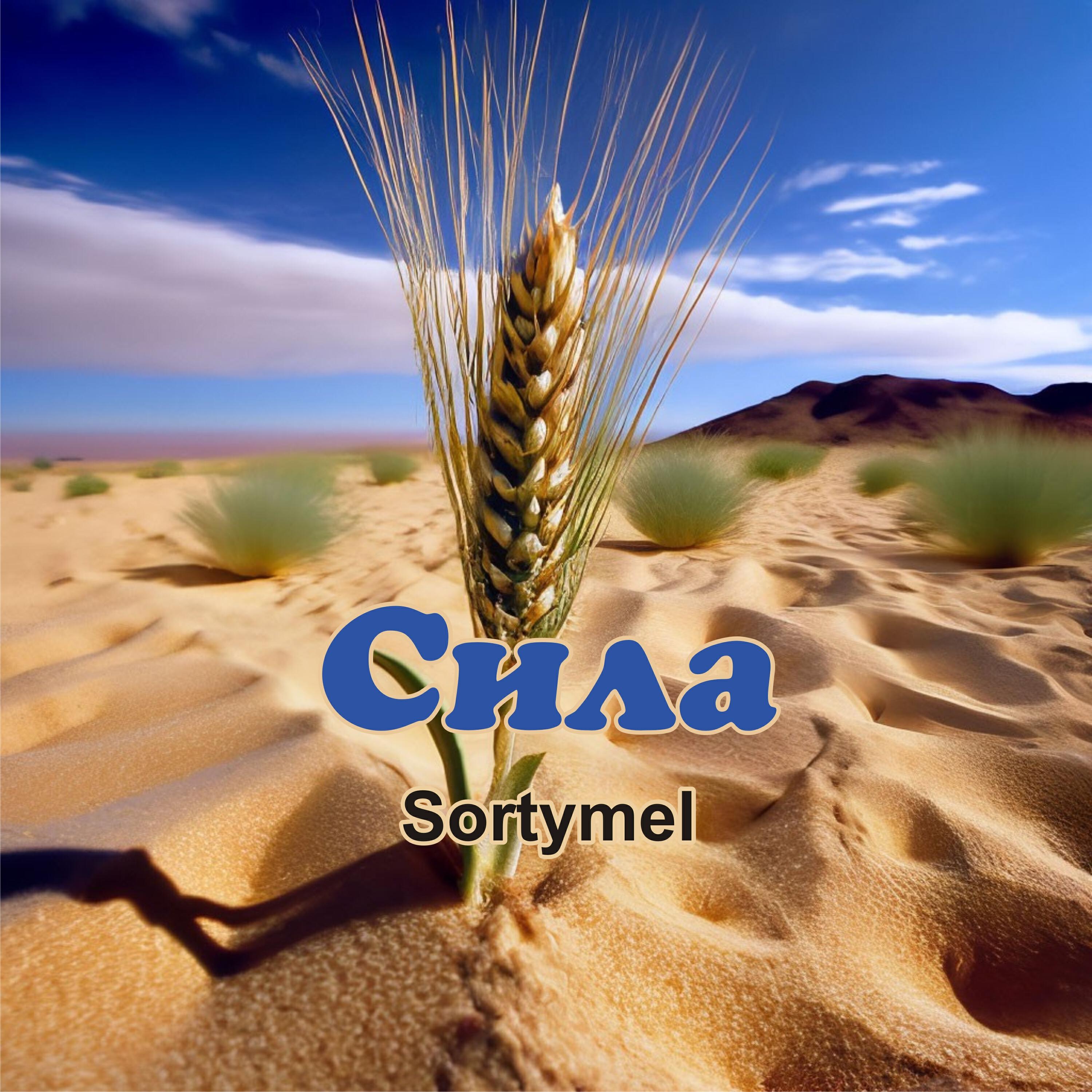 Релиз Сила