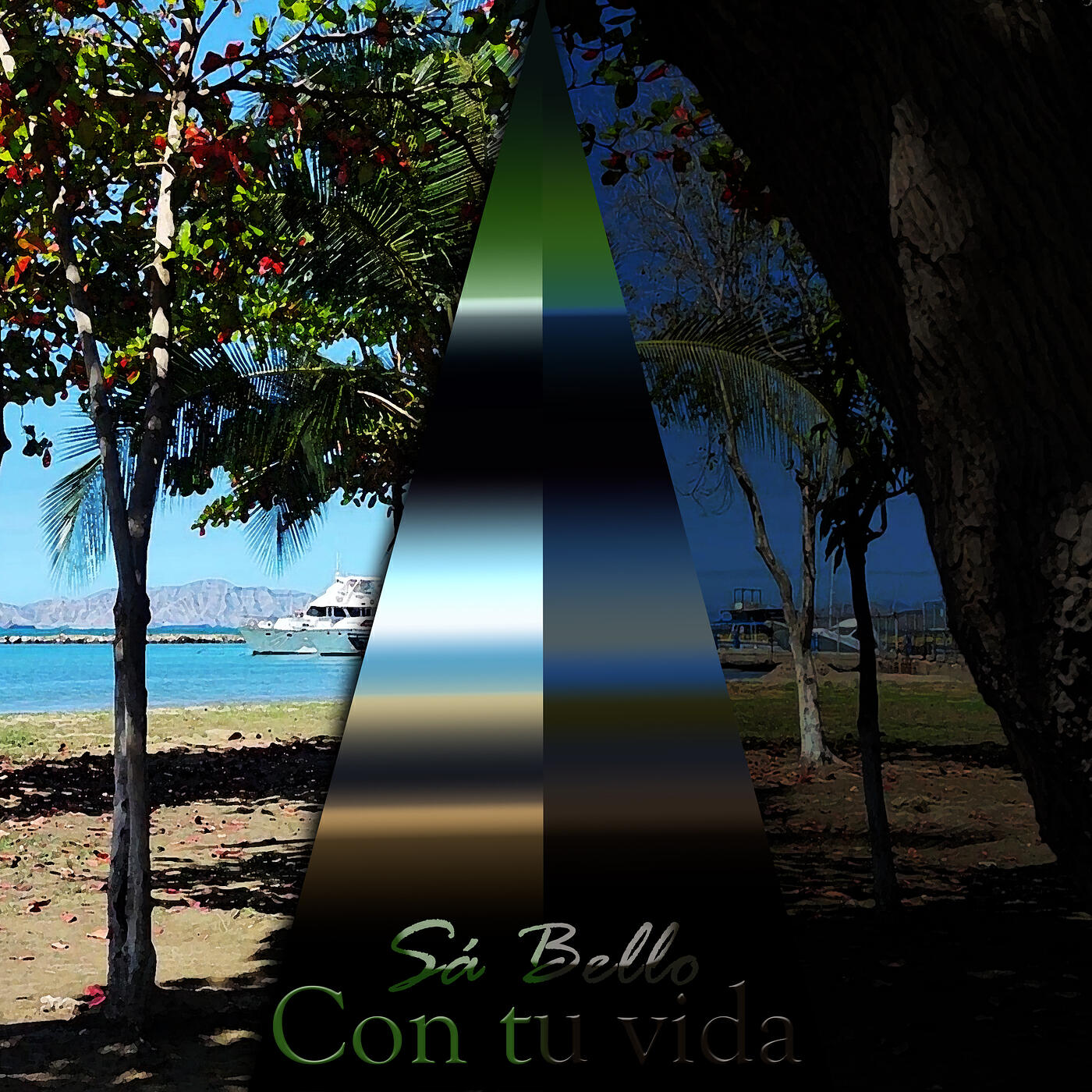 Релиз Con Tu Vida