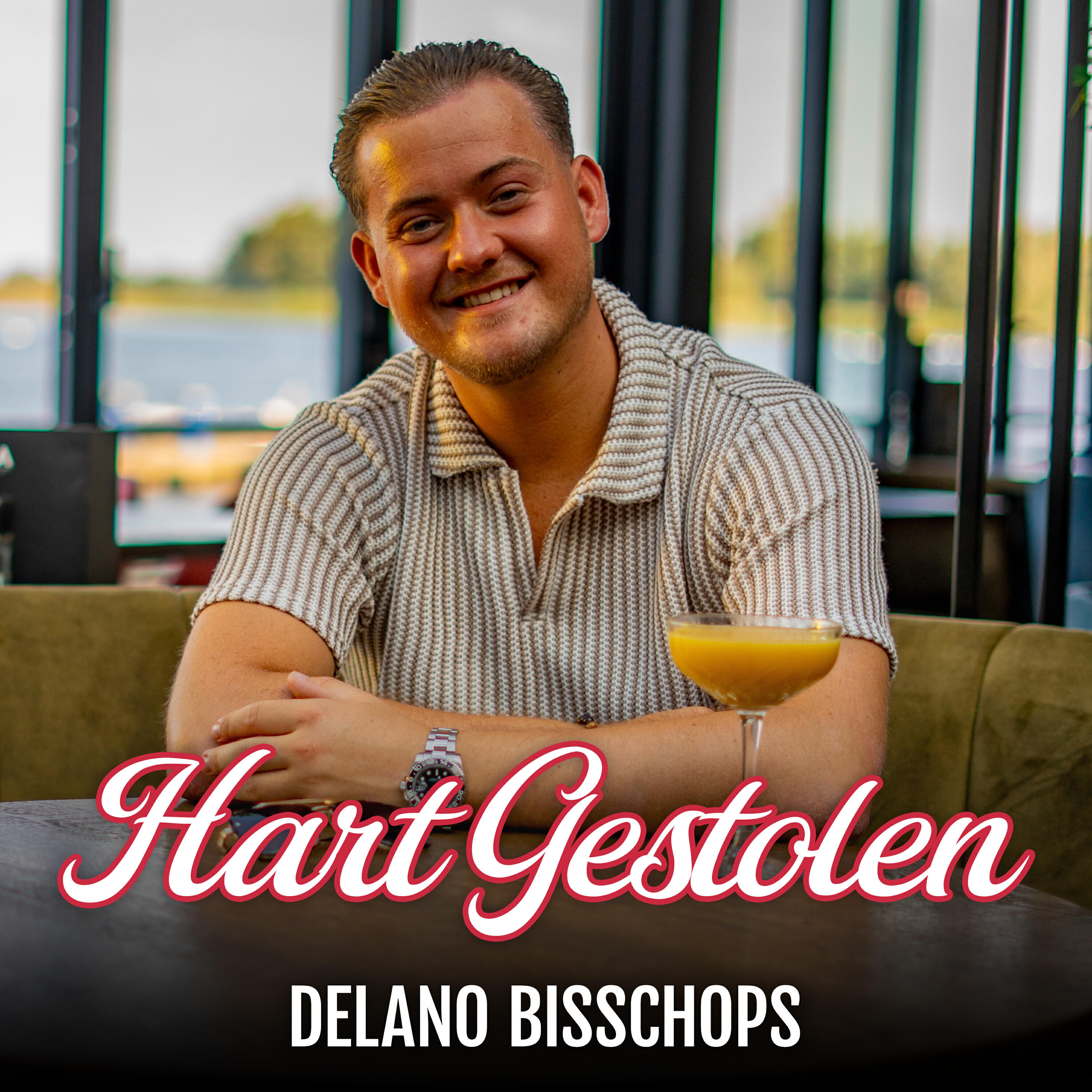 Релиз Hart Gestolen