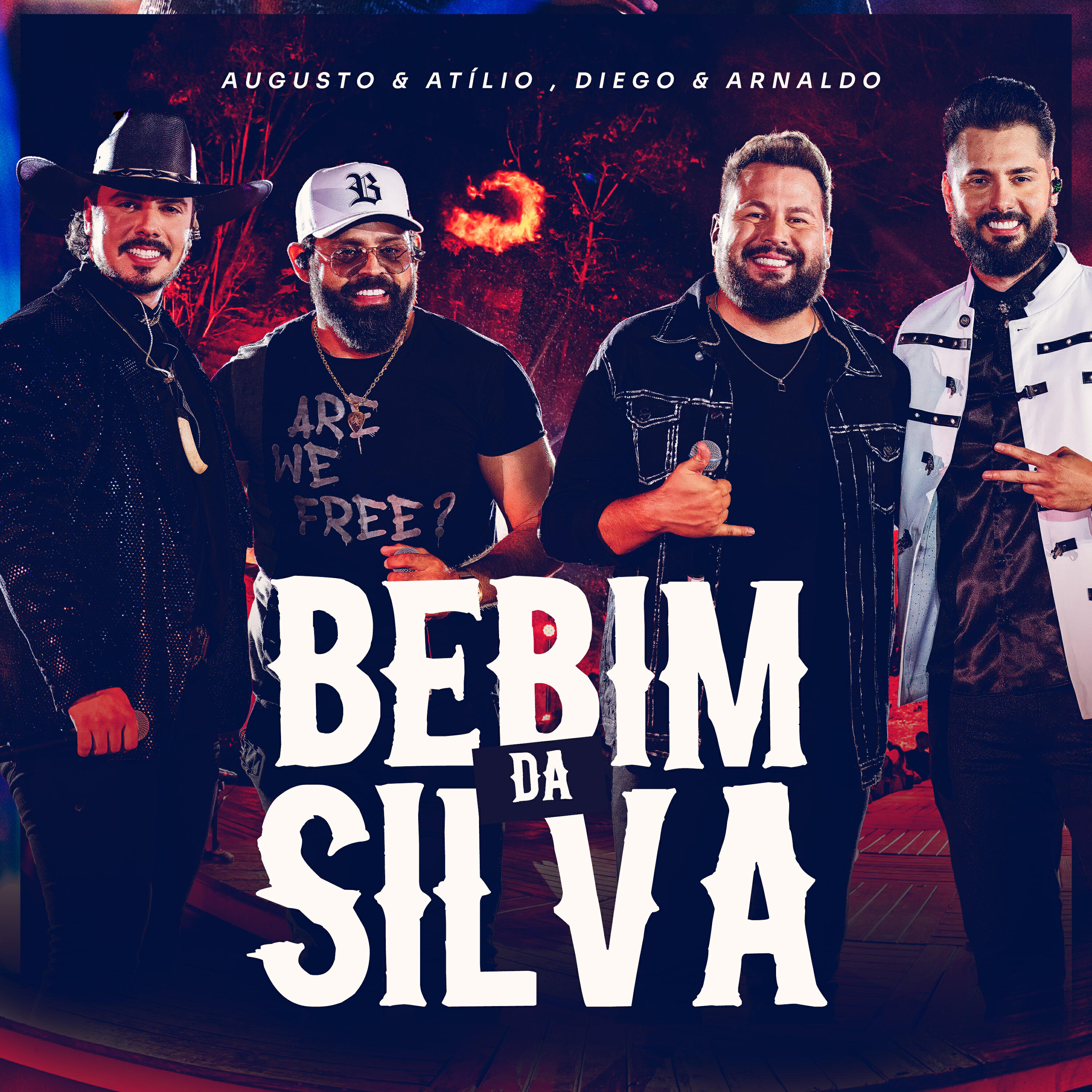 Постер альбома Bebim da Silva
