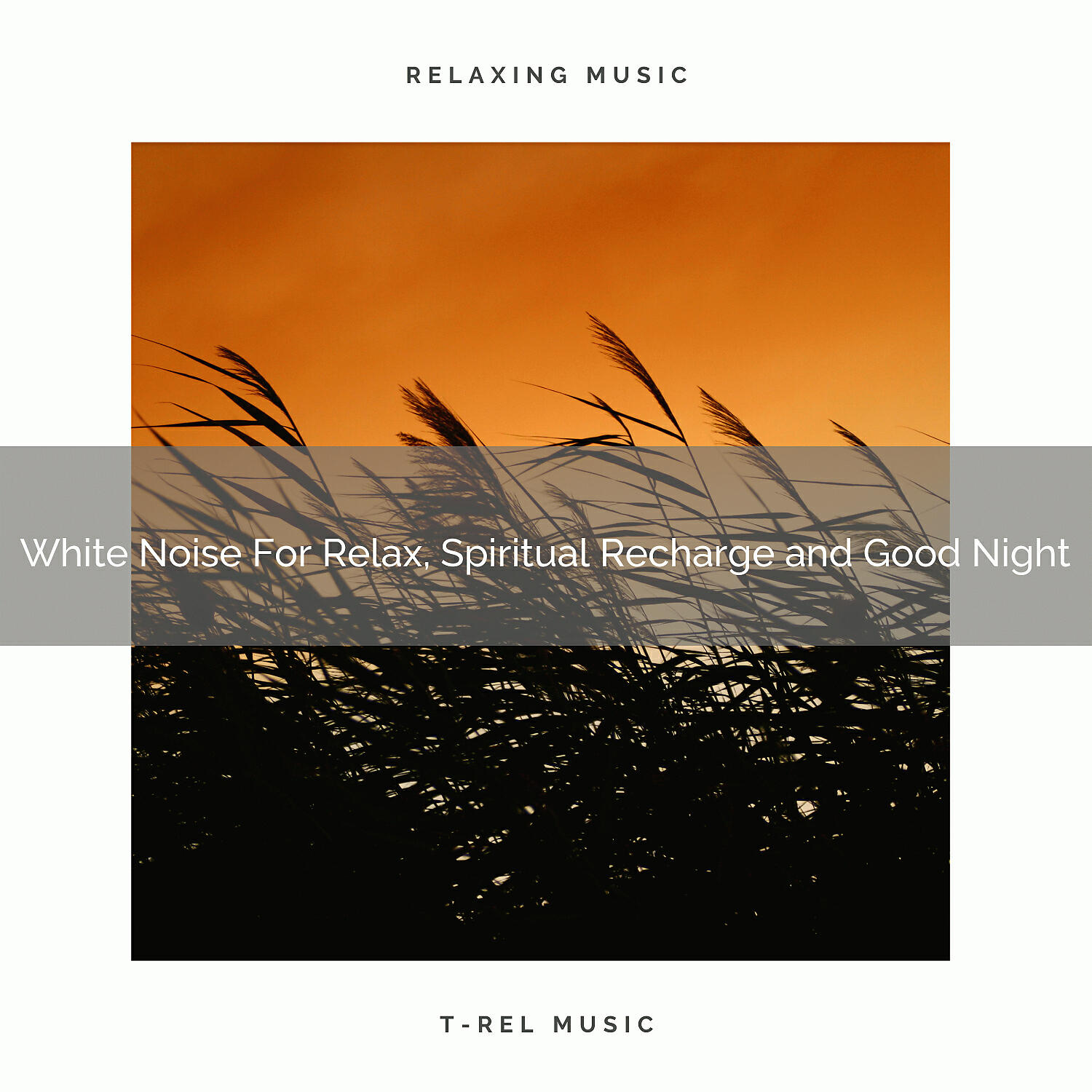Beautiful White Noise