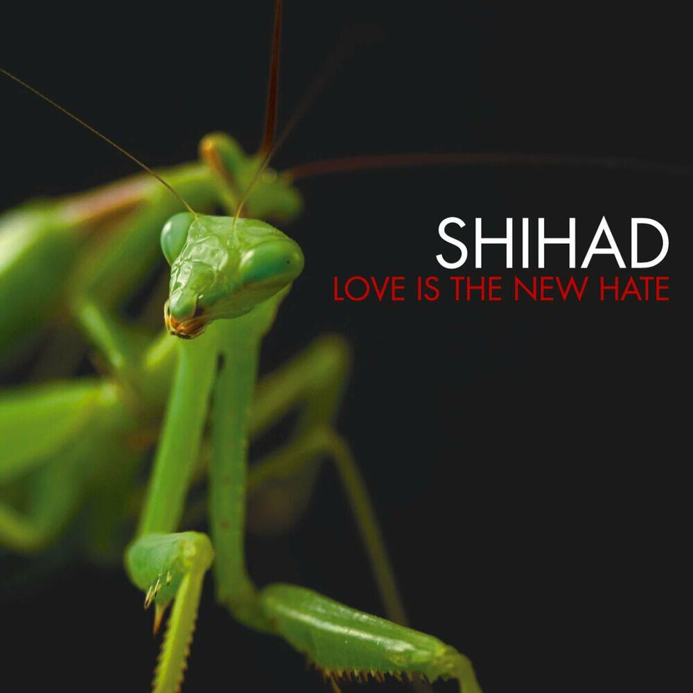 Релиз Shot In The Head