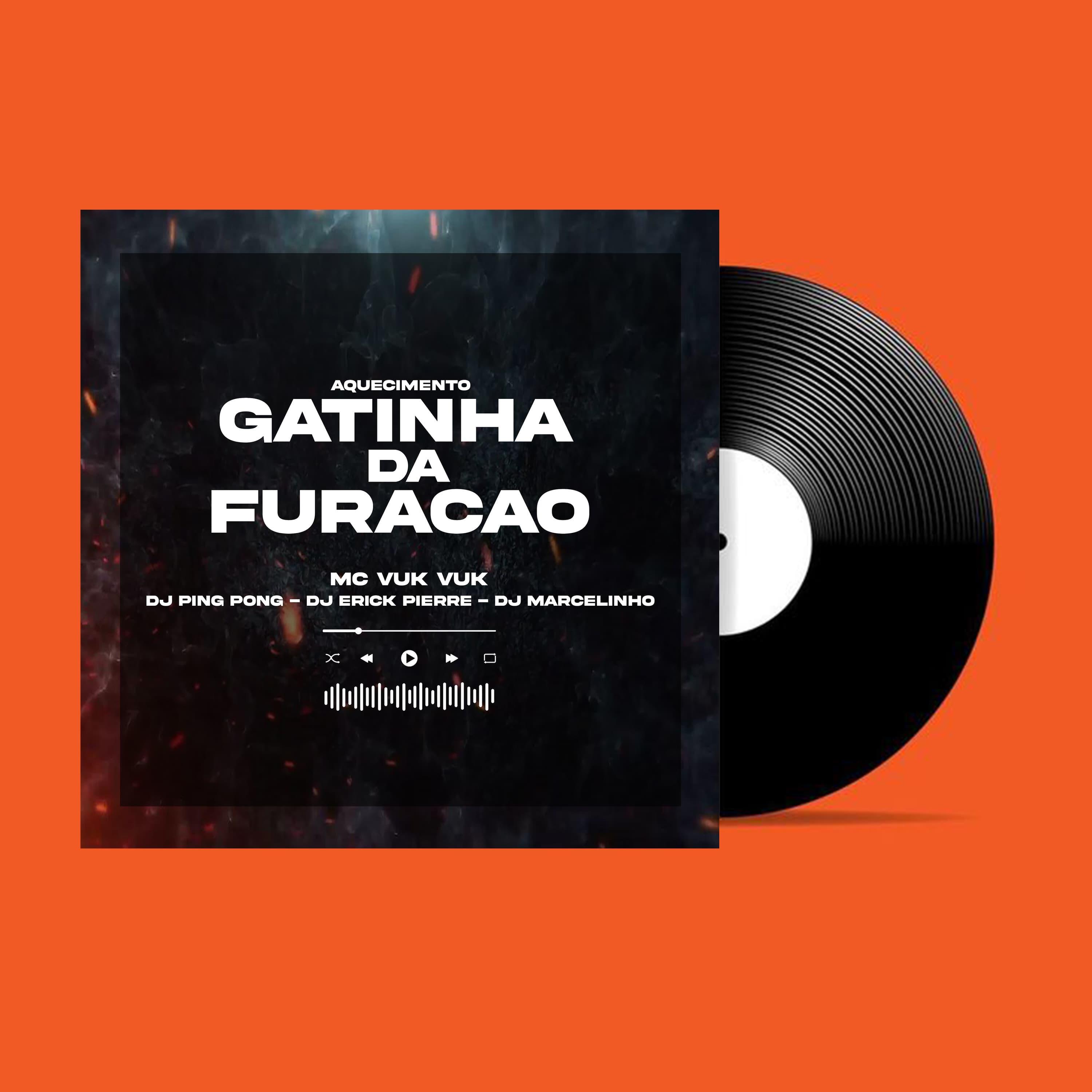Скачать песню DJ ERICK PIERRE, DJ Marcelinho, DJ Ping Pong - Aquecimento Gatinha da Furacão бесплатно в MP3 для Android и iOS