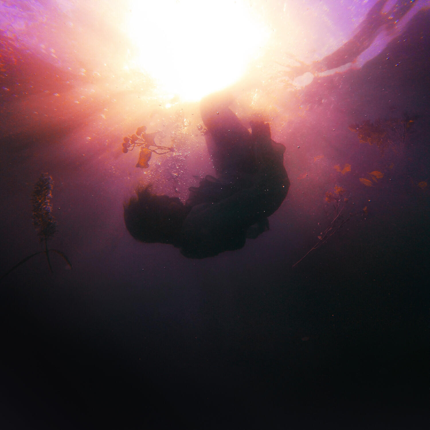 Релиз Led by the Sun