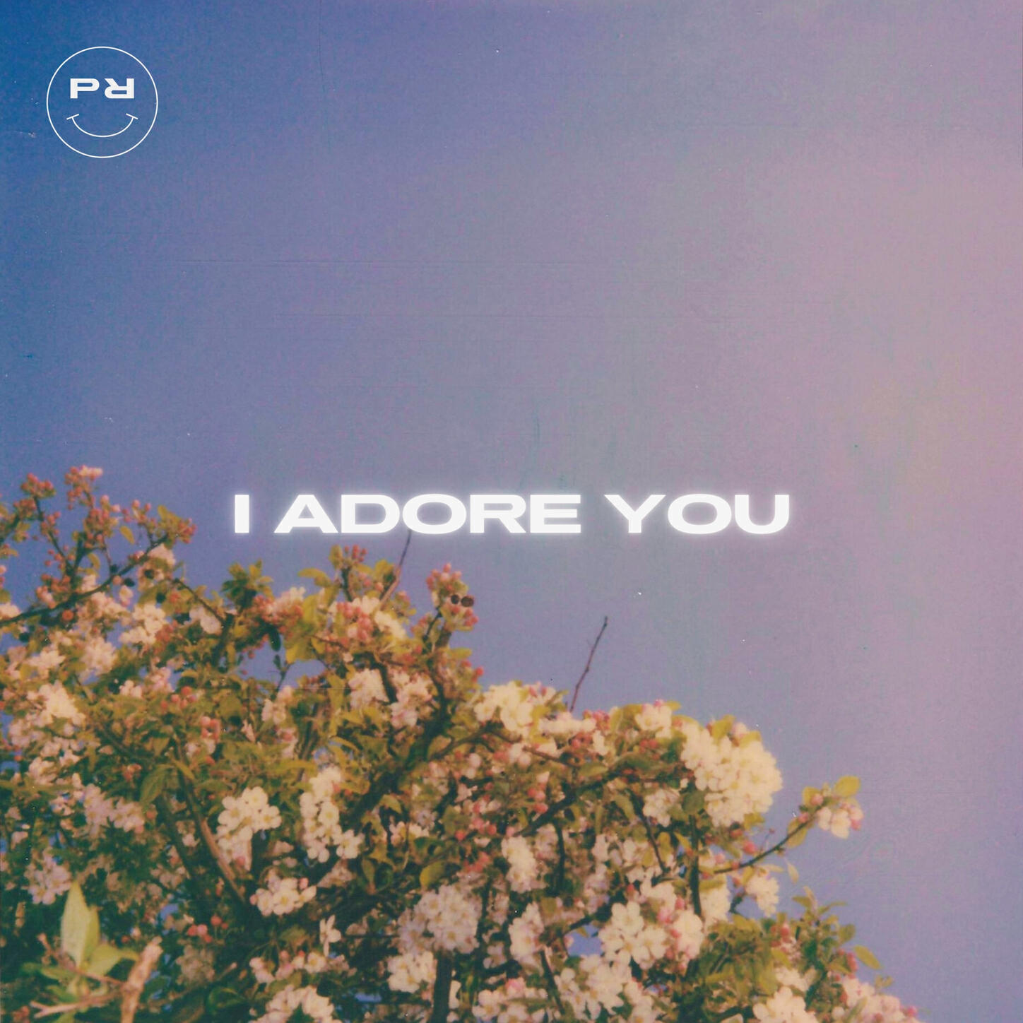 Релиз I Adore You
