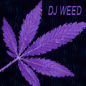 Dj Weed все песни в mp3